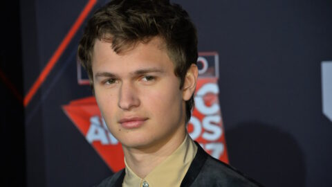 ansel