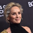 sharon stone beste films