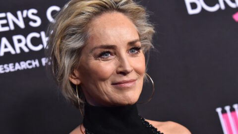 sharon stone beste films