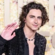 timothee chamalet