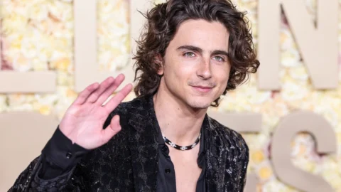 timothee chamalet