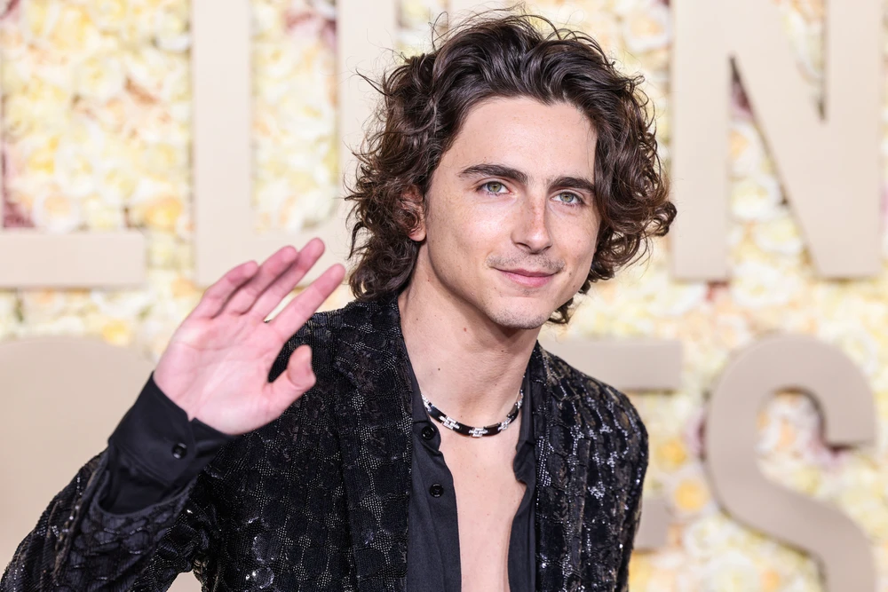 Top 10 Beste Timothee Chalamet Films