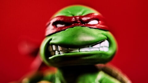 TMNT