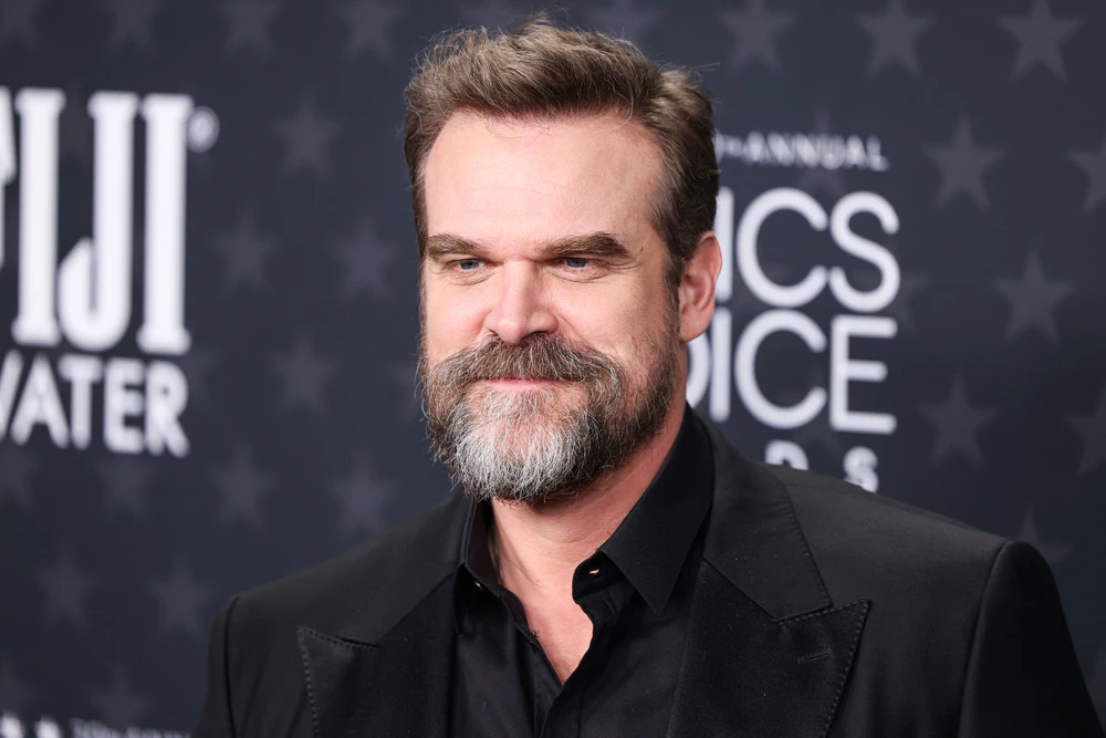 Top 10 Beste Films en TV-programma’s met David Harbour