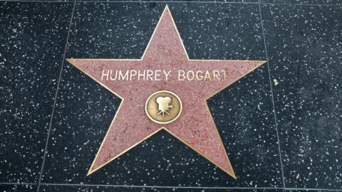 bogart weetjes