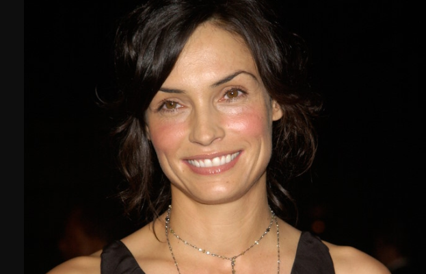 15 Beste Films van Famke Janssen